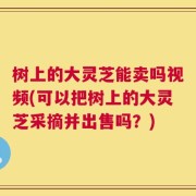 树上的大灵芝能卖吗视频(可以把树上的大灵芝采摘并出售吗？)