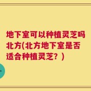 地下室可以种植灵芝吗北方(北方地下室是否适合种植灵芝？)