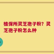 植保所灵芝孢子粉？灵芝孢子粉怎么种