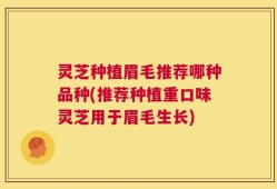 灵芝种植眉毛推荐哪种品种(推荐种植重口味灵芝用于眉毛生长)