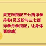 灵芝粉搭配三七西洋参丹参(灵芝粉与三七西洋参丹参搭配，让身体更健康)