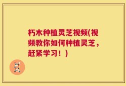 朽木种植灵芝视频(视频教你如何种植灵芝，赶紧学习！)