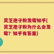 灵芝孢子粉发霉知乎(灵芝孢子粉为什么会发霉？知乎有答案)