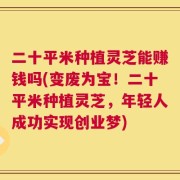 二十平米种植灵芝能赚钱吗(变废为宝！二十平米种植灵芝，年轻人成功实现创业梦)