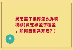 灵芝盖子很厚怎么办啊视频(灵芝被盖子覆盖，如何自制其开启？)
