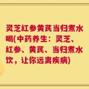 灵芝红参黄芪当归煮水喝(中药养生：灵芝、红参、黄芪、当归煮水饮，让你远离疾病)