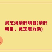 灵芝汤清肝明目(清肝明目，灵芝魔力汤)