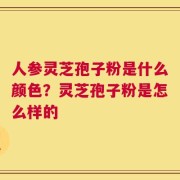 人参灵芝孢子粉是什么颜色？灵芝孢子粉是怎么样的