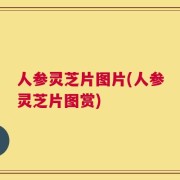 人参灵芝片图片(人参灵芝片图赏)