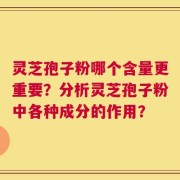 灵芝孢子粉哪个含量更重要？分析灵芝孢子粉中各种成分的作用？