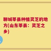 聊城莘县种植灵芝的地方(山东莘县：灵芝之乡)