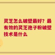 灵芝怎么破壁最好？最有效的灵芝孢子粉破壁技术是什么