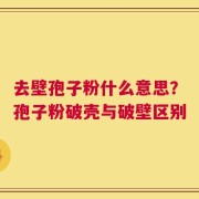 去壁孢子粉什么意思？孢子粉破壳与破壁区别