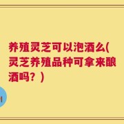 养殖灵芝可以泡酒么(灵芝养殖品种可拿来酿酒吗？)