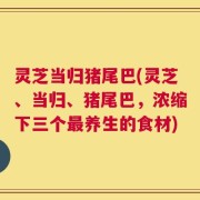 灵芝当归猪尾巴(灵芝、当归、猪尾巴，浓缩下三个最养生的食材)