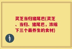 灵芝当归猪尾巴(灵芝、当归、猪尾巴，浓缩下三个最养生的食材)