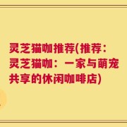 灵芝猫咖推荐(推荐：灵芝猫咖：一家与萌宠共享的休闲咖啡店)