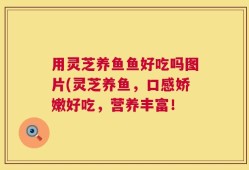 用灵芝养鱼鱼好吃吗图片(灵芝养鱼，口感娇嫩好吃，营养丰富！