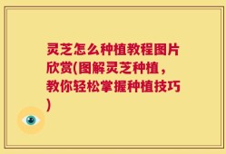 灵芝怎么种植教程图片欣赏(图解灵芝种植，教你轻松掌握种植技巧)
