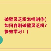 破壁灵芝粉怎样制作(如何自制破壁灵芝粉？快来学习！)