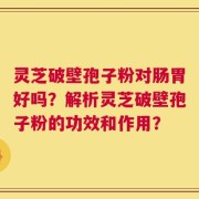 灵芝破壁孢子粉对肠胃好吗？解析灵芝破壁孢子粉的功效和作用？