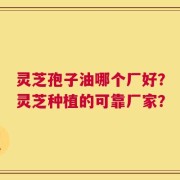 灵芝孢子油哪个厂好？灵芝种植的可靠厂家？