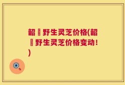 韶關野生灵芝价格(韶關野生灵芝价格变动！)