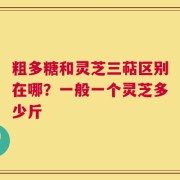 粗多糖和灵芝三萜区别在哪？一般一个灵芝多少斤