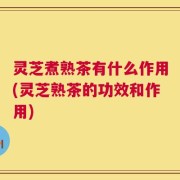 灵芝煮熟茶有什么作用(灵芝熟茶的功效和作用)