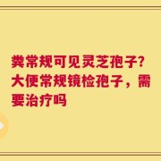 粪常规可见灵芝孢子？大便常规镜检孢子，需要治疗吗