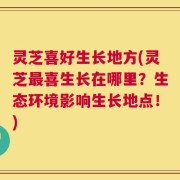 灵芝喜好生长地方(灵芝最喜生长在哪里？生态环境影响生长地点！)