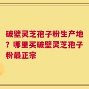 破壁灵芝孢子粉生产地？哪里买破壁灵芝孢子粉最正宗