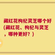 藏红花枸杞灵芝哪个好(藏红花、枸杞与灵芝，哪种更好？)