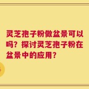 灵芝孢子粉做盆景可以吗？探讨灵芝孢子粉在盆景中的应用？