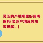 灵芝的产地哪里好用呢图片(灵芝产地及其功效详解！)