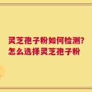 灵芝孢子粉如何检测？怎么选择灵芝孢子粉