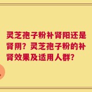 灵芝孢子粉补肾阳还是肾阴？灵芝孢子粉的补肾效果及适用人群？