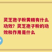 灵芝孢子粉黄精有什么功效？灵芝孢子粉的功效和作用是什么