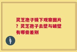 灵芝孢子镜下观察图片？灵芝孢子去壁与破壁有哪些差别