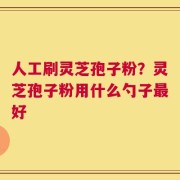 人工刷灵芝孢子粉？灵芝孢子粉用什么勺子最好