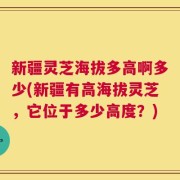 新疆灵芝海拔多高啊多少(新疆有高海拔灵芝，它位于多少高度？)