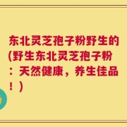 东北灵芝孢子粉野生的(野生东北灵芝孢子粉：天然健康，养生佳品！)