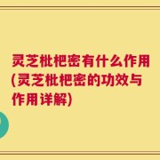 灵芝枇杷密有什么作用(灵芝枇杷密的功效与作用详解)