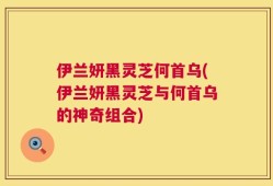 伊兰妍黑灵芝何首乌(伊兰妍黑灵芝与何首乌的神奇组合)