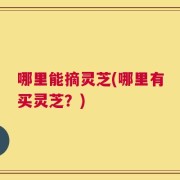 哪里能摘灵芝(哪里有买灵芝？)