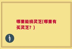 哪里能摘灵芝(哪里有买灵芝？)