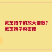 灵芝孢子的放大倍数？灵芝孢子粉密度