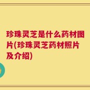 珍珠灵芝是什么药材图片(珍珠灵芝药材照片及介绍)