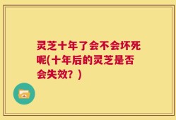 灵芝十年了会不会坏死呢(十年后的灵芝是否会失效？)