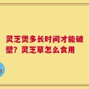 灵芝煲多长时间才能破壁？灵芝草怎么食用